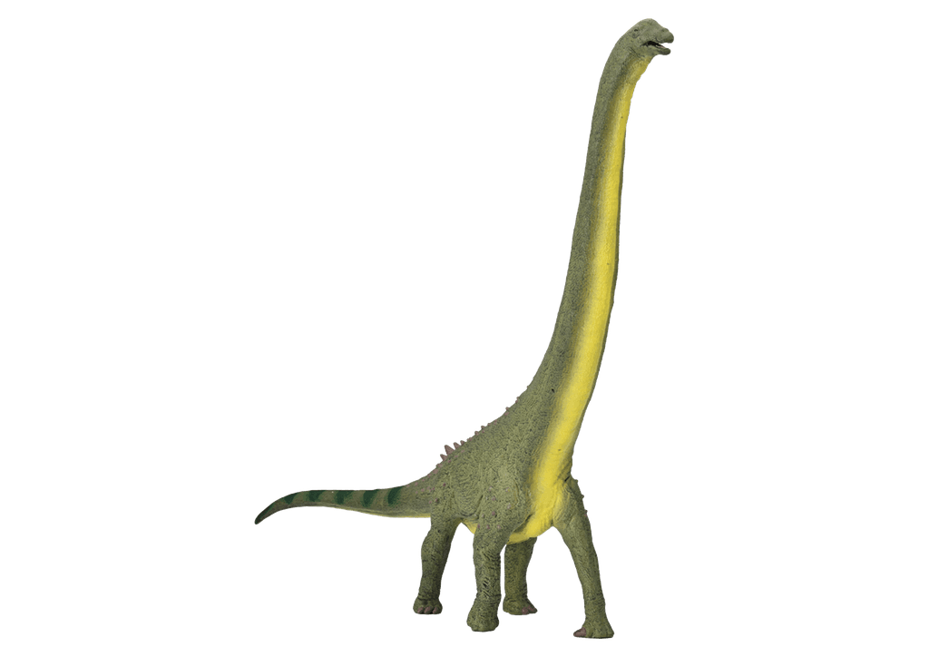 Dreadnoughtus