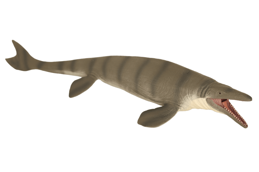 Mosasaurus