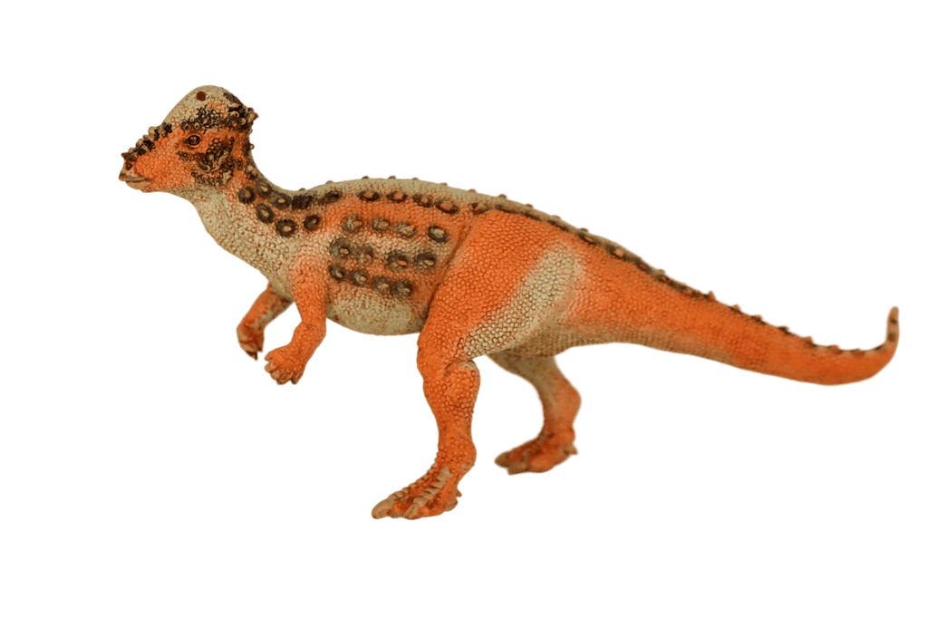 Pachycephalosaurus